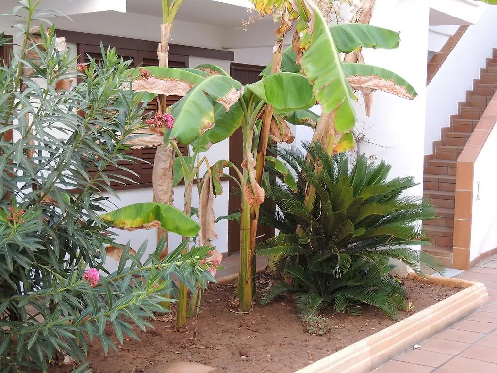 Apartamentos Sal Rossa Playa d'en Bossa Ισπανία